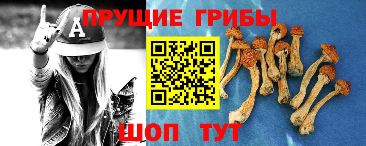 Псилоцибиновые грибы Magic Shrooms Нягань