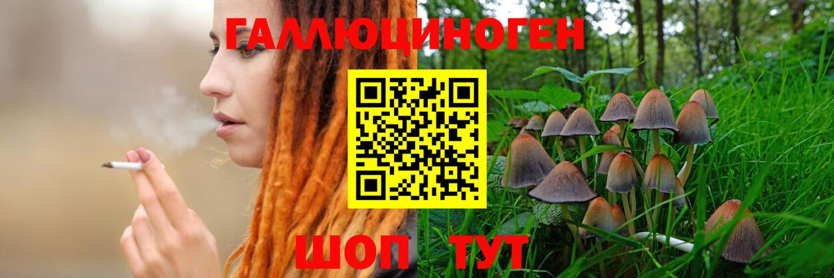 Псилоцибиновые грибы Psilocybine cubensis  Вход с VPN  Нягань 